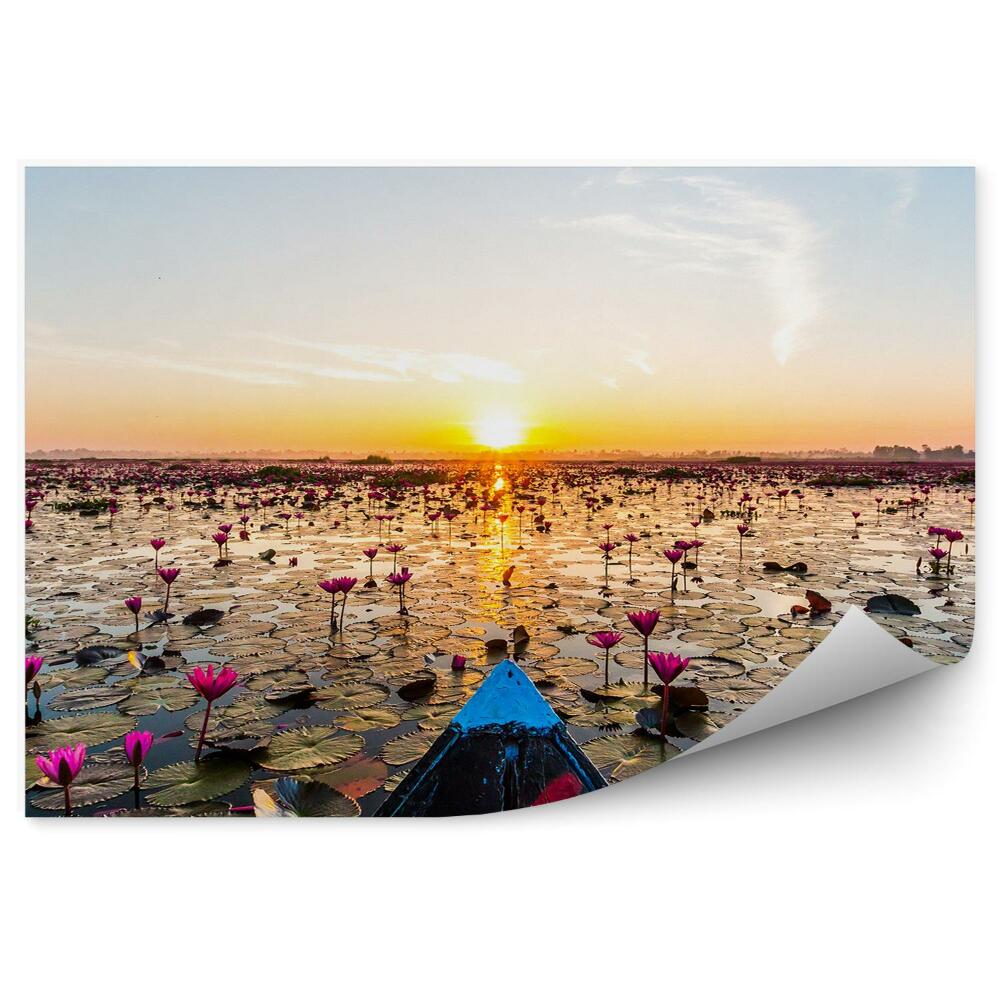 Decor fototapet Barcă pe lac cu nuferi și apus de soare