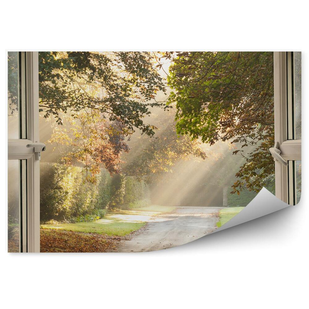 Fototapet perete Parcați În Afara Ferestrei, Potecă, Razele Soarelui