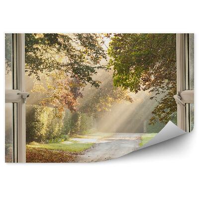 Fototapet perete Parcați În Afara Ferestrei, Potecă, Razele Soarelui