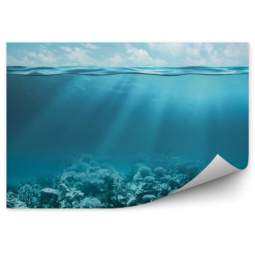 Fototapet Pe Fundul Oceanului Recif De Corali Cer Nori