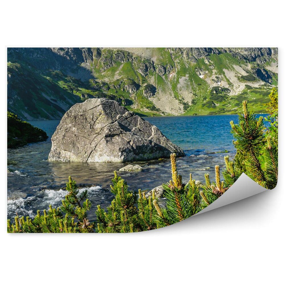 Fototapet pentru perete Valea Celor 5 Lacuri Munții Tatra