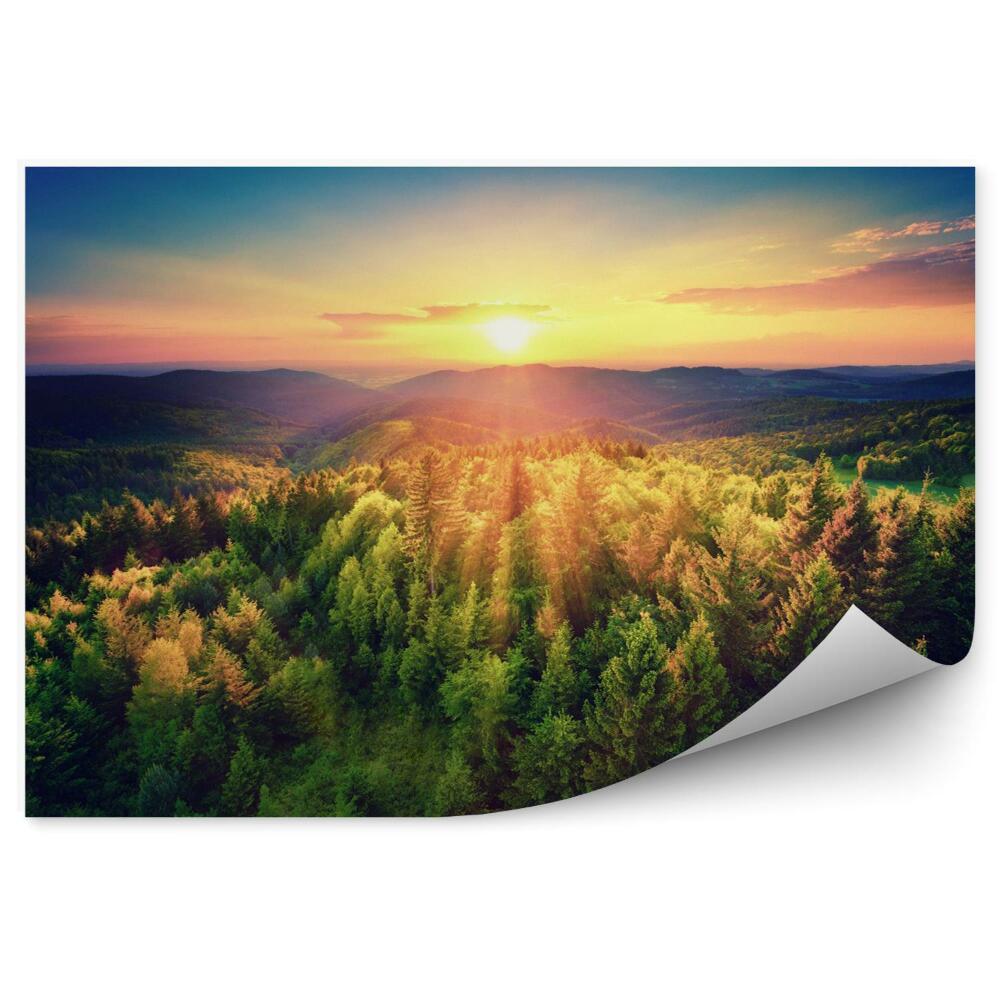 Decor fototapet Apus Peste Pădure