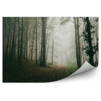 Fototapet Poteca De Copaci