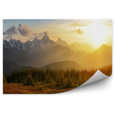 Decor fototapet Pădure De Munți Răsărit