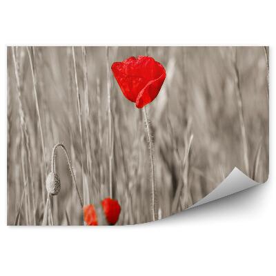 Fototapet pentru perete Maci roșii cu tulpini gri, petale de flori