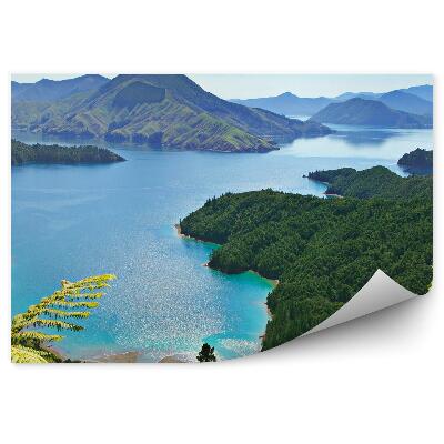 Fototapet vintage Munți Verde Conifere Ferigă Ocean Cer Nori Noua Zeelandă