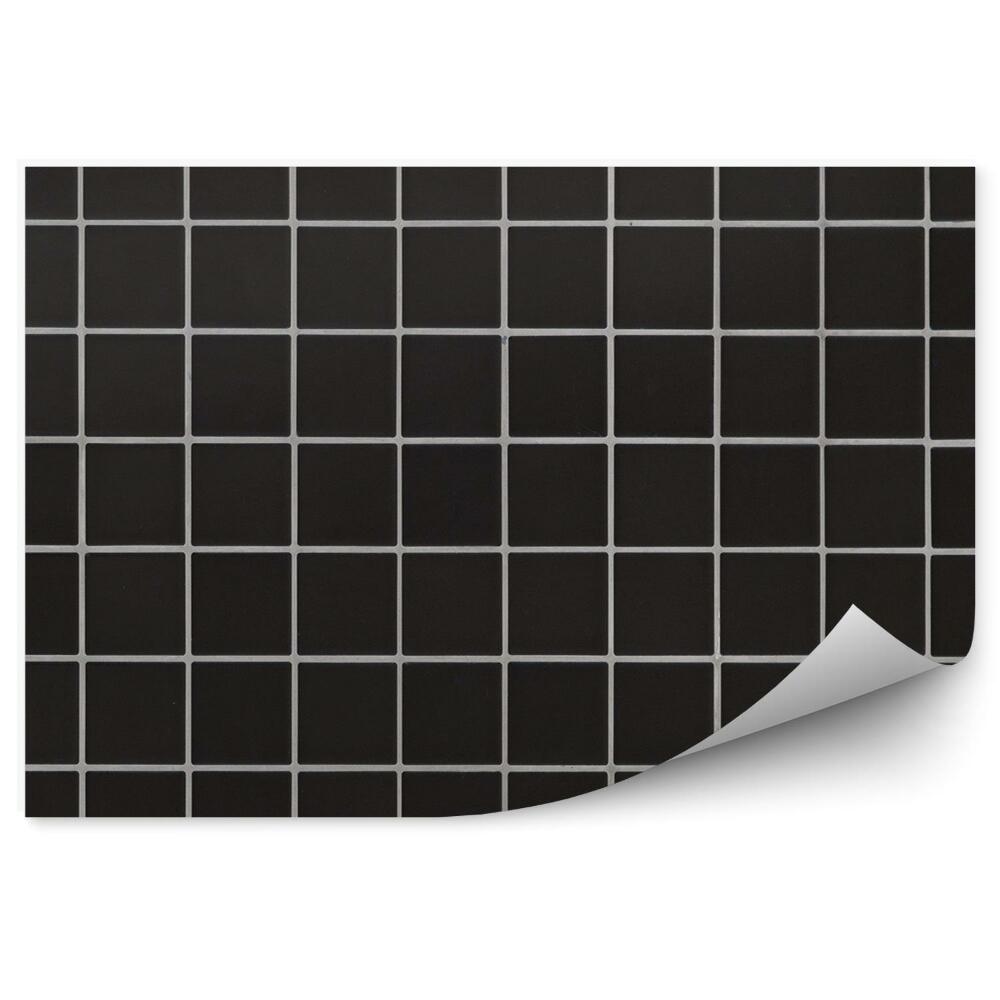 Fototapet Gresie Cub Negru Dungi Albe Model În Carouri