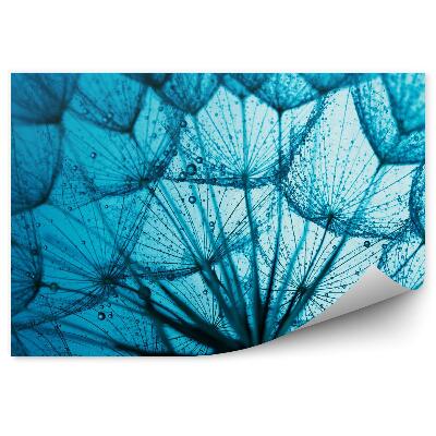 Fototapeta Mniczek lekarski niebieskie tło