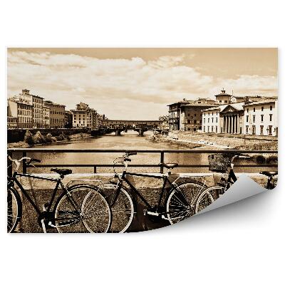 Fototapet perete Pod cu trei biciclete peste râul sepia