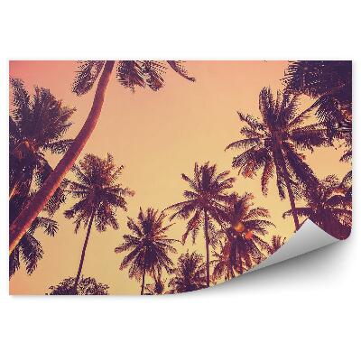 Decor fototapet Siluete De Palmieri La Apus De Soare De Epocă
