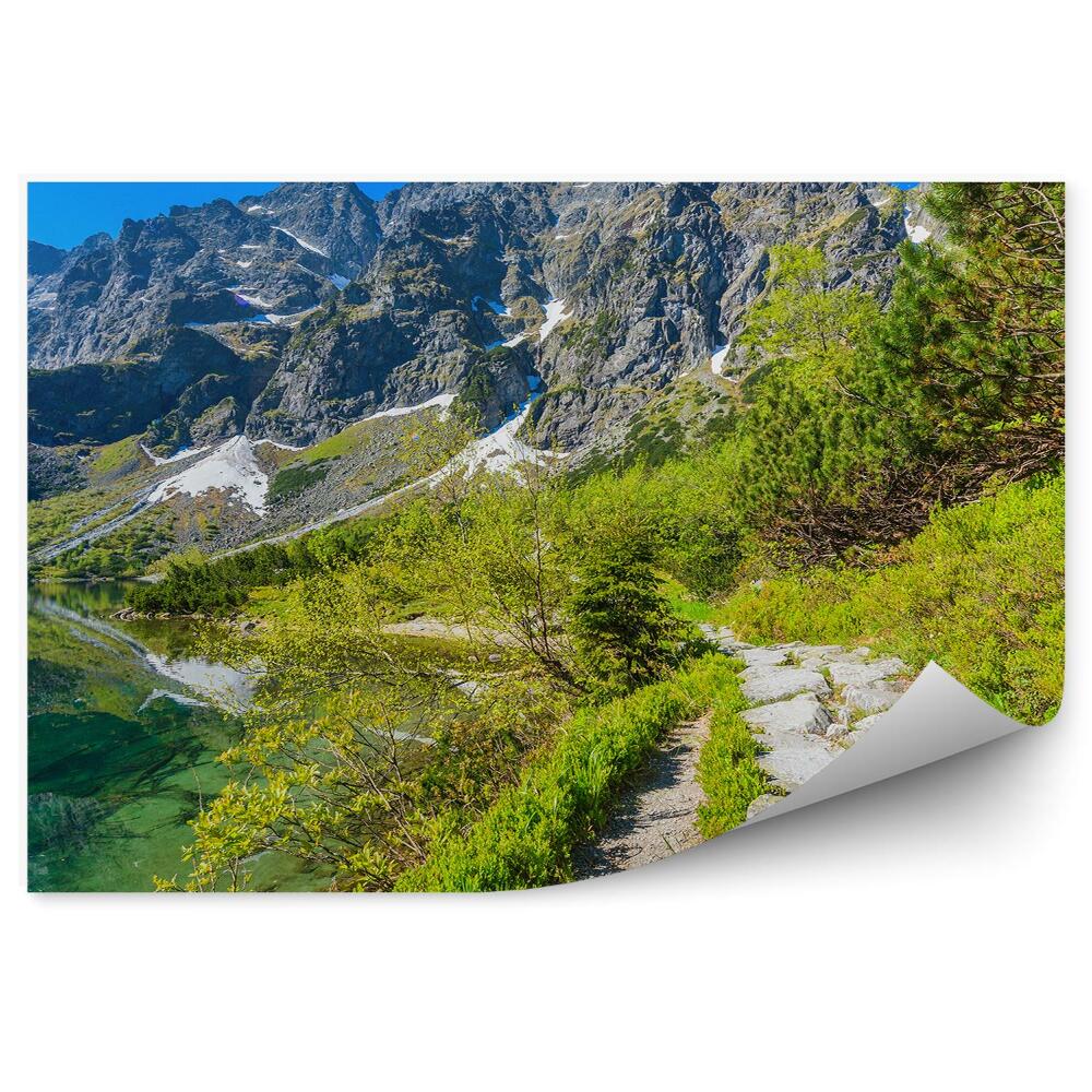 Fototapet perete Drum Printre Apa Verde De Smarald A Munților