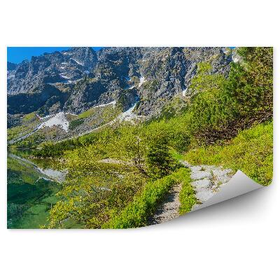 Fototapet perete Drum Printre Apa Verde De Smarald A Munților