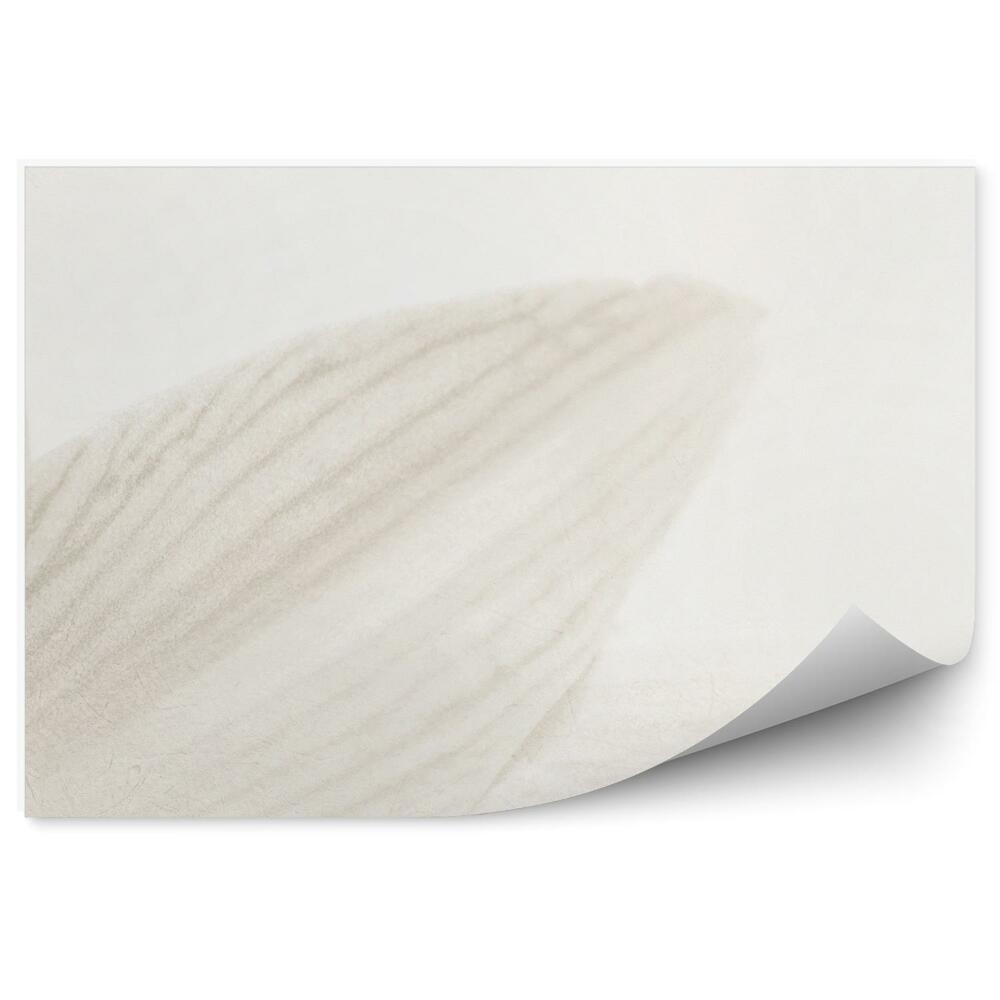 Decor fototapet Petale de crin gri fundal alb