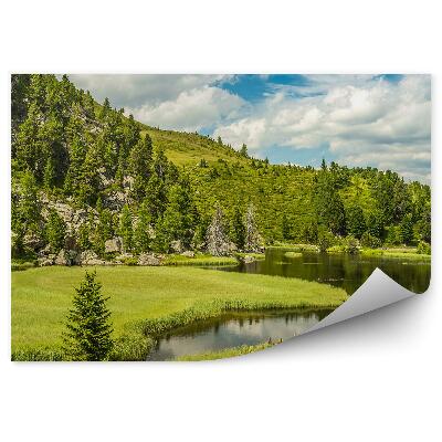 Decor fototapet Lac Alpin Munți Conifere Cer Nori Stânci