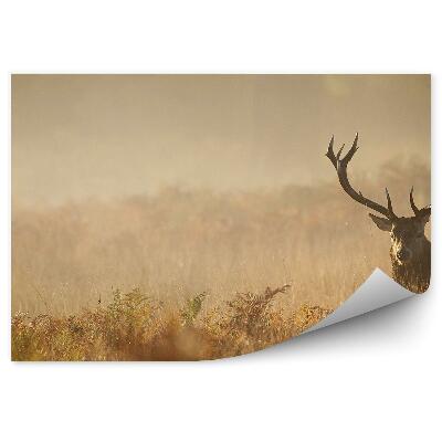 Fototapet vintage Căprioare Pe O Pajiște Cețoasă