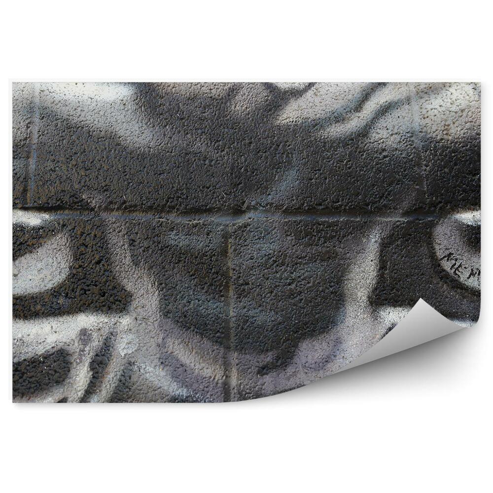 Decor fototapet Graffiti Cu Ochi De Maimuță