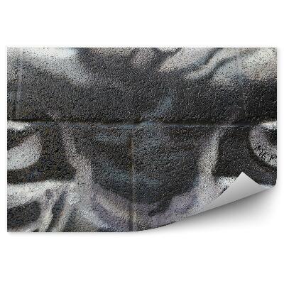 Decor fototapet Graffiti Cu Ochi De Maimuță