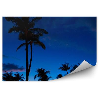 Fototapet vintage Palmieri Cer De Noapte Nori