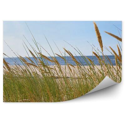 Fototapet pentru perete Iarbă Verde Pe Fundalul Plajei Mării Albastre