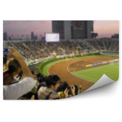 Fototapet perete Imagine neclară a unui stadion de fotbal