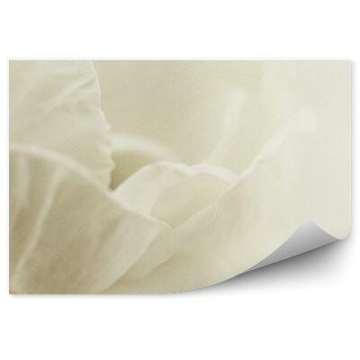 Fototapet vintage Fundal cu petale de trandafir alb