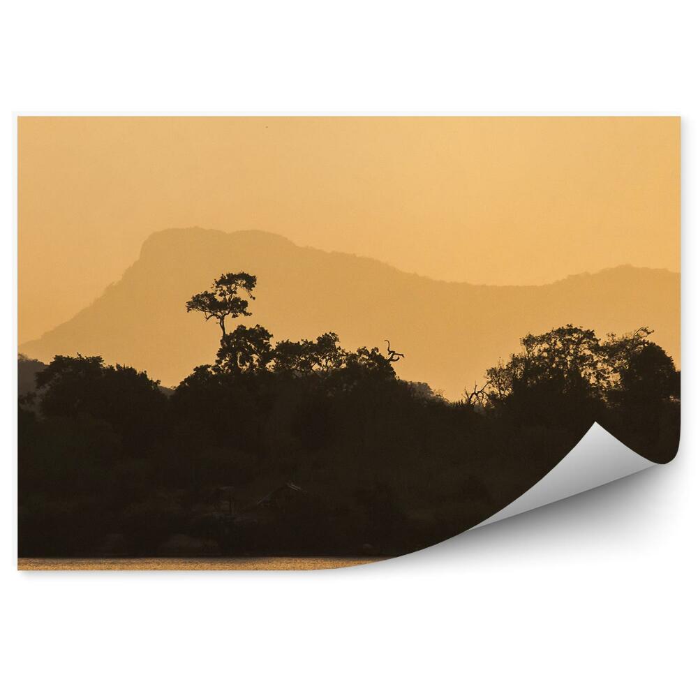 Fototapet perete Peisaj De Vegetație Sepia Pescarilor