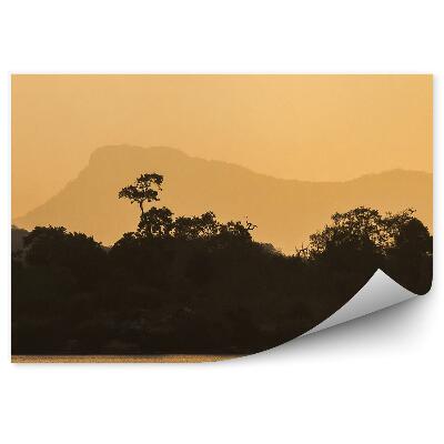 Fototapet perete Peisaj De Vegetație Sepia Pescarilor