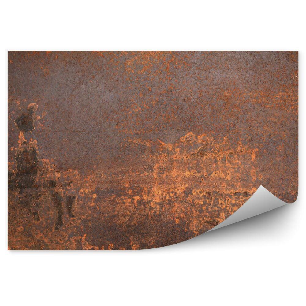 Fototapet vintage Metal ruginit