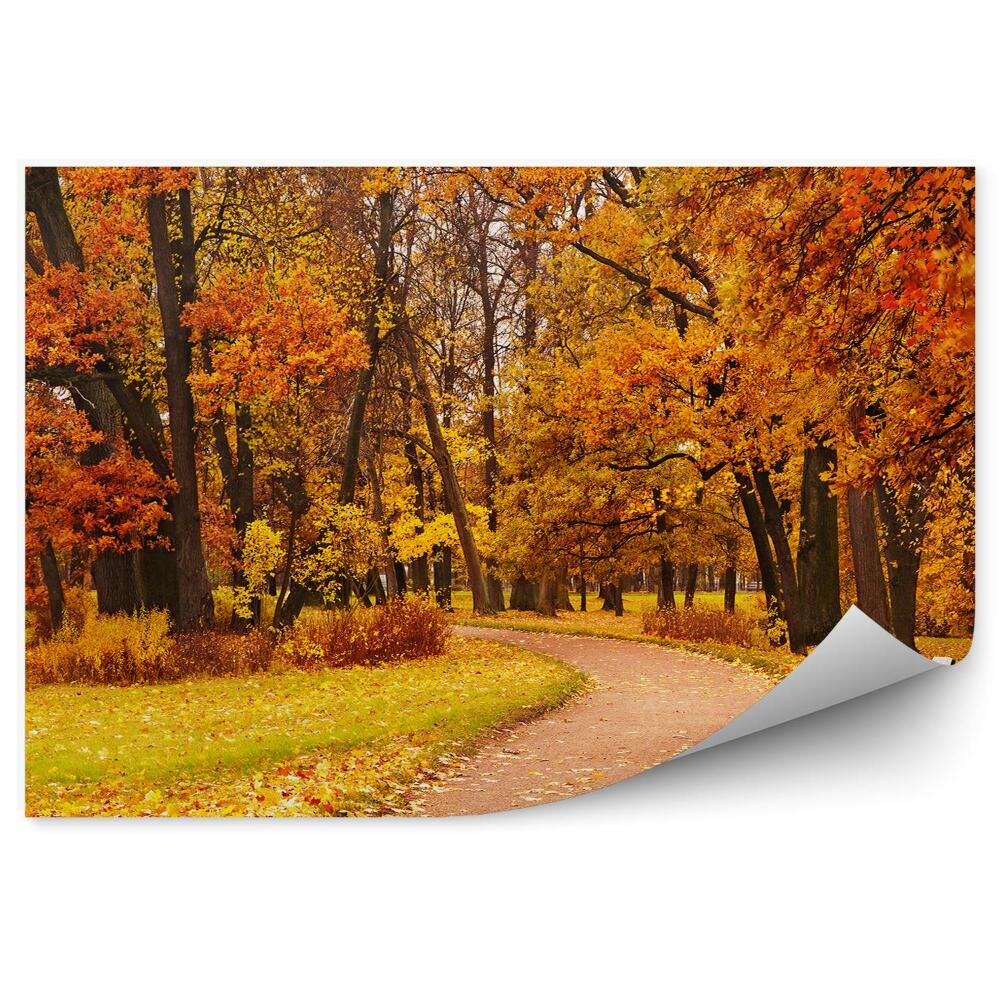 Decor fototapet Calea Colorată A Copacilor Din Parc De Toamnă