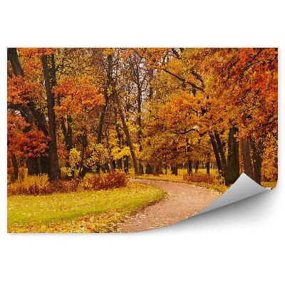 Decor fototapet Calea Colorată A Copacilor Din Parc De Toamnă