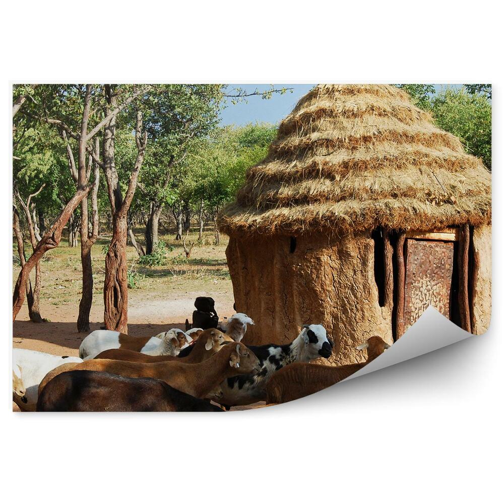 Fototapet vintage Satul Himba Cabană Africană Tradițională Copaci De Capră