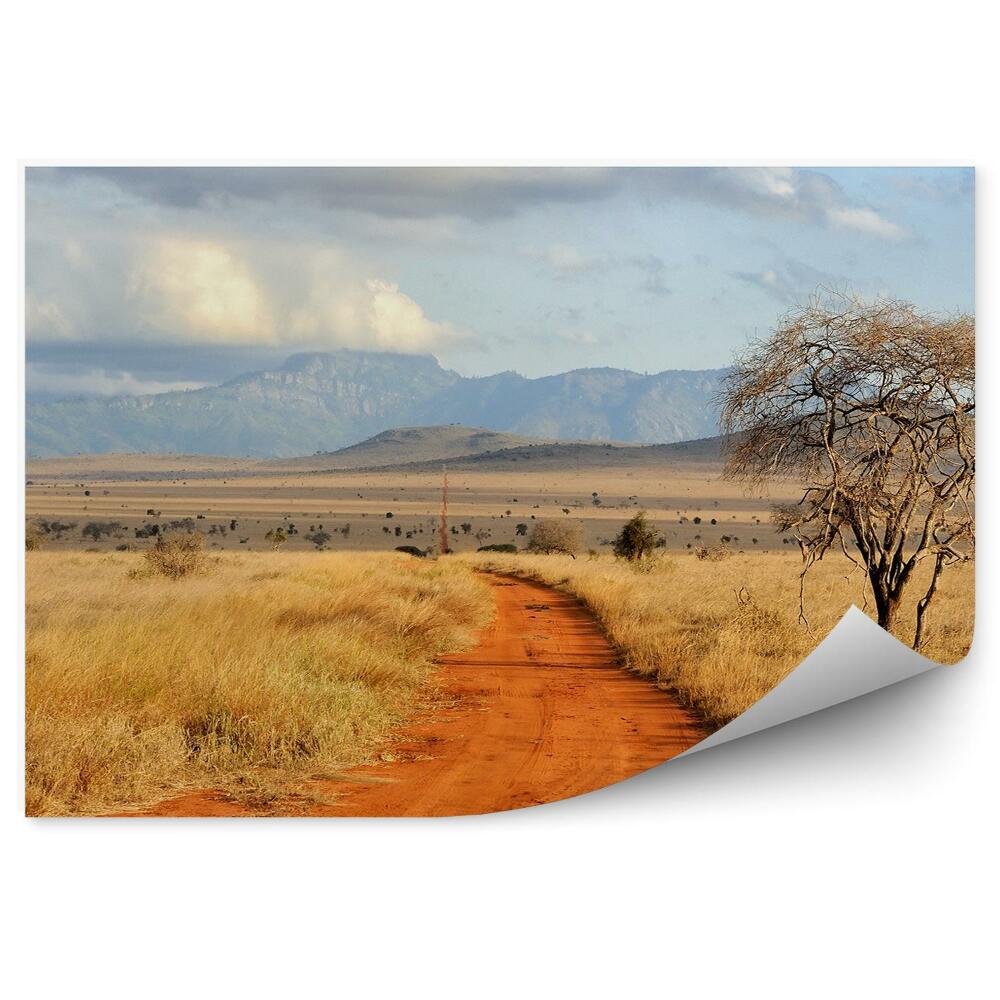 Fototapet vintage Drum drum nisip iarba uscata vegetatie dealuri