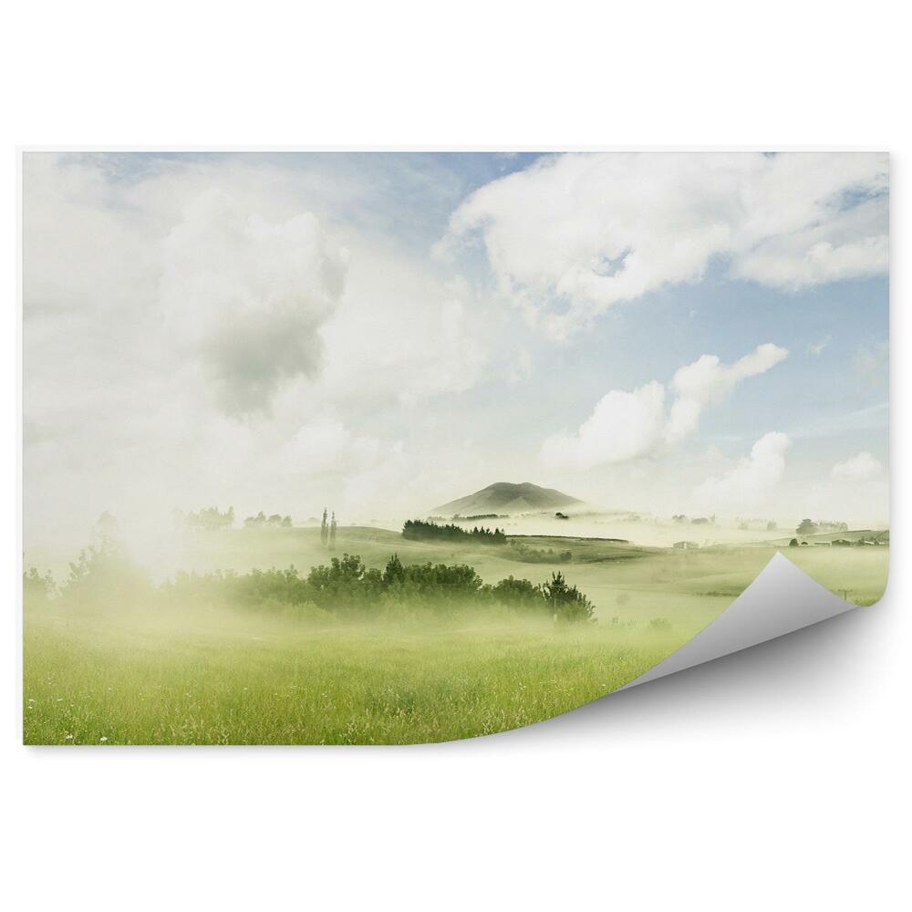 Fototapet Luncă Verde Plante Ceață Cer