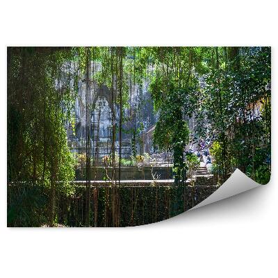 Fototapet vintage Templul Din Junglă Al Arborilor Liane