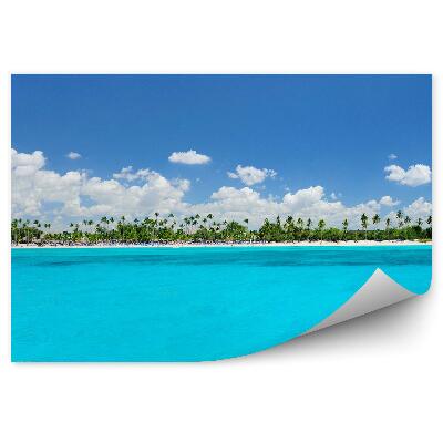 Decor fototapet Palmieri Marea Caraibelor Plajă Cer Nori