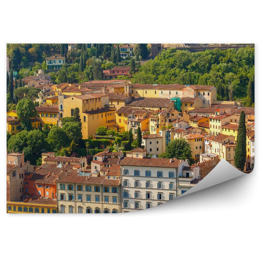 Fototapet Oltrarno Fort Belvedere Florența Plante Arbore