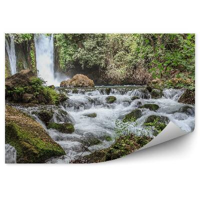 Fototapet perete Cascada De Dealuri Vegetație Forestieră Densă