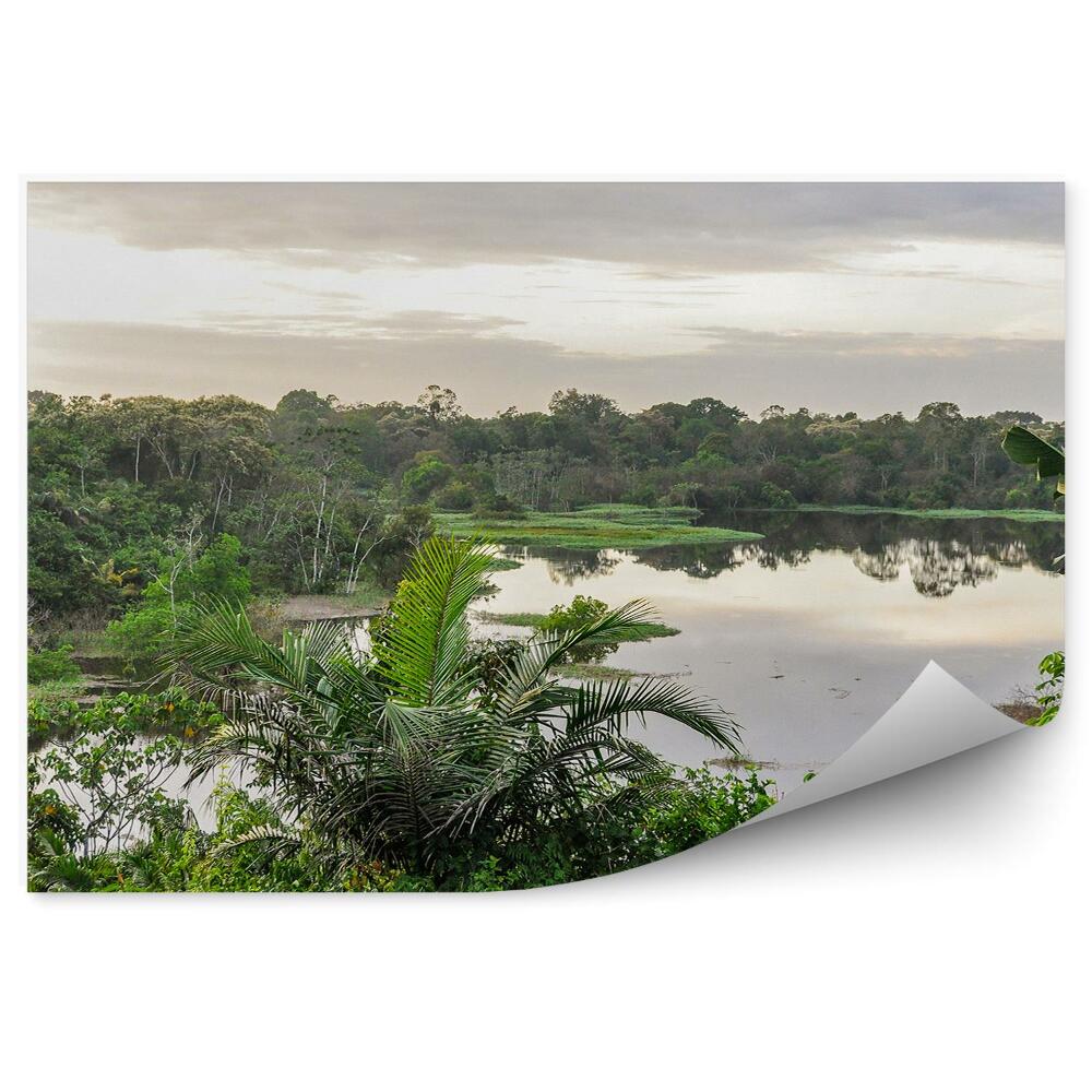 Decor fototapet Frunze De Palmier Junglă Copaci Amazon Lac Verde