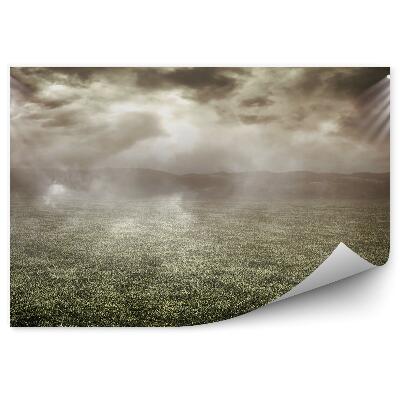 Fototapet Pajiște în ceață