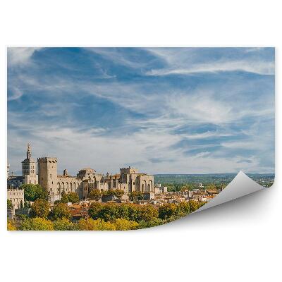 Fototapet pentru perete Panoramă Oraș Vechi Palatul Papal Vedere Copaci Plante Cer Nori