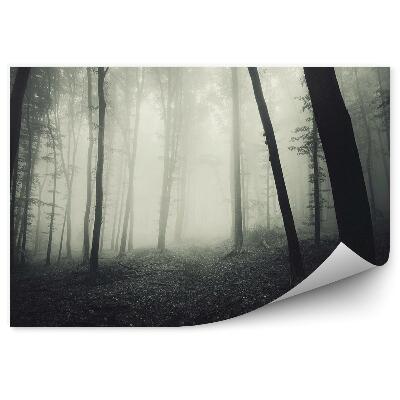 Fototapet pentru perete Pădurea Ceață De Sepia
