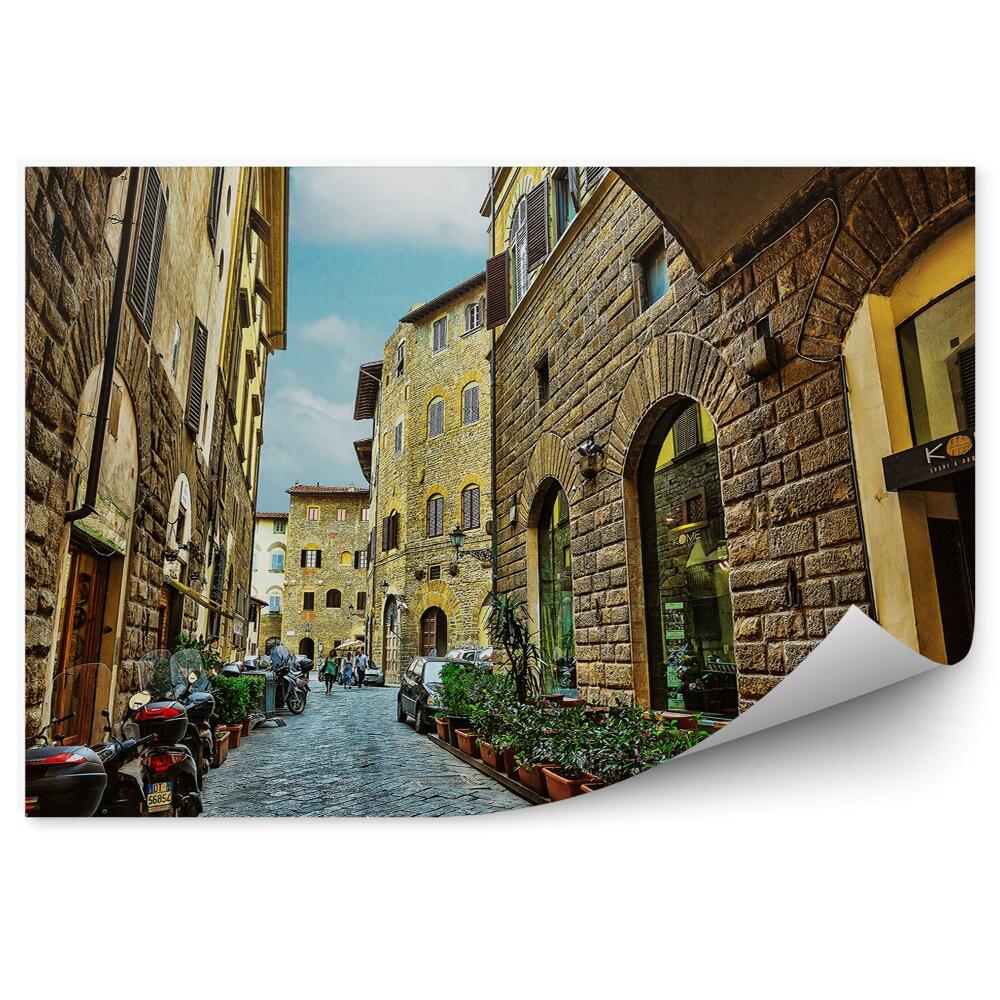 Decor fototapet Clădiri vechi de piatră vegetație verde