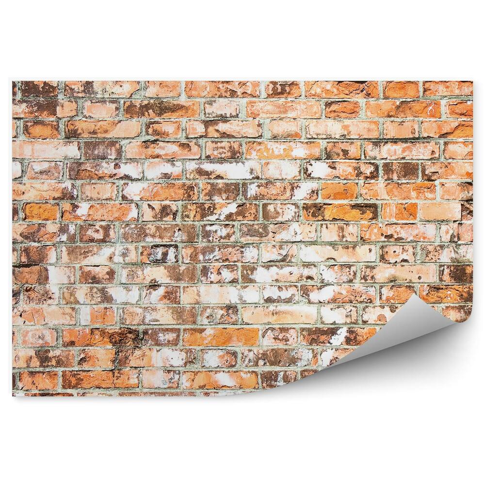 Fototapet vintage Zidul Vechi Din Toscana