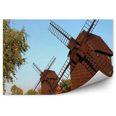 Fototapet perete Vechi mori de vânt din lemn parc natural