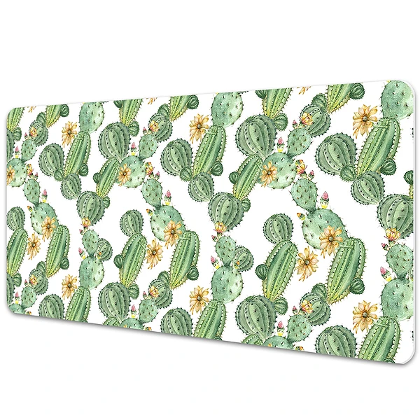 Protectie birou Cactuși înfloriți