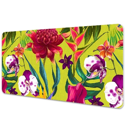 Protectie birou Grădină de basm