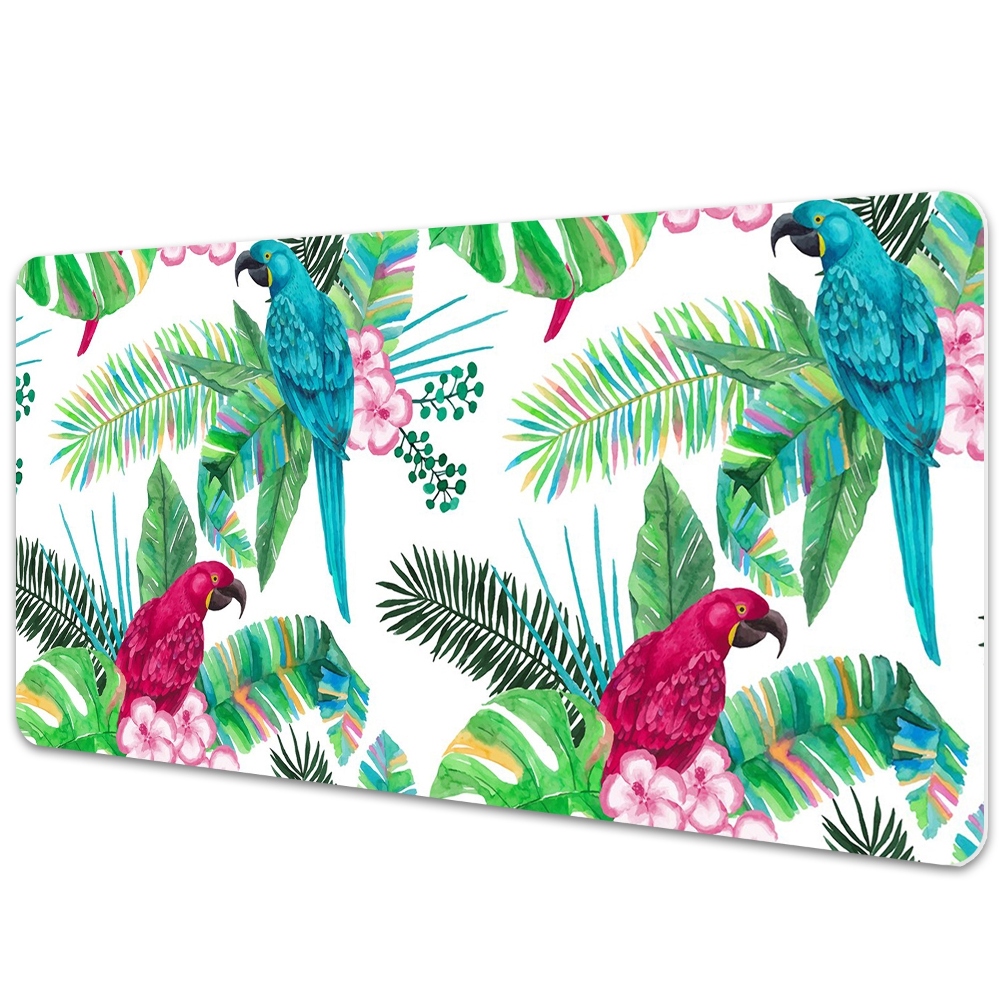 Mapa birou Papagali pe pictură murală