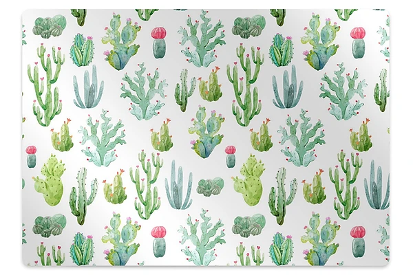 Protectie podea birou Mini cactusi