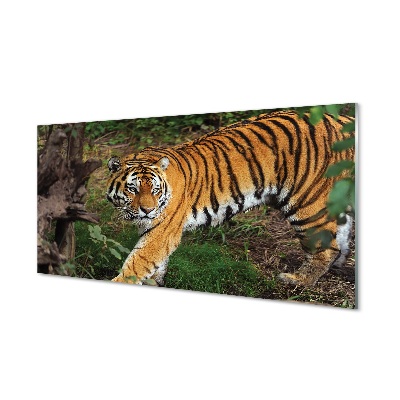 Tablou din sticlă Tigrul În Timpul Vânătorii