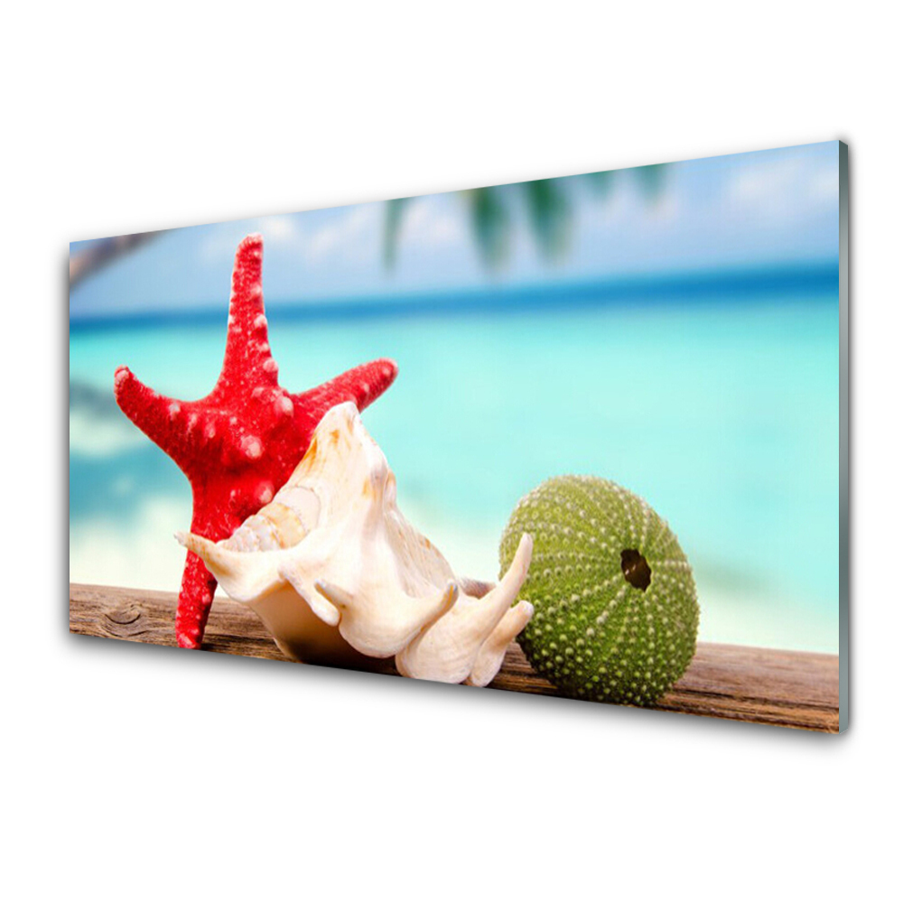 Transparenţă Apă De Stele De Mare De Scoici